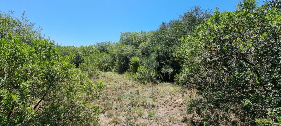  Bedroom Property for Sale in Knysna Rural Western Cape